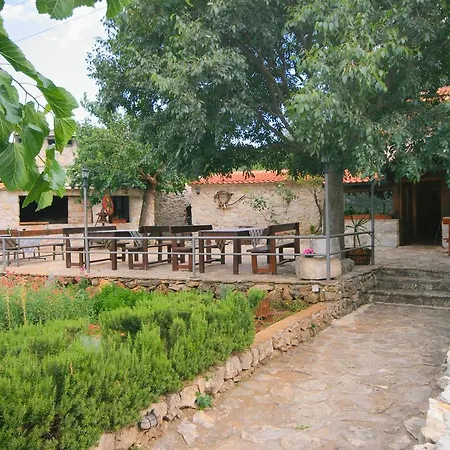 Donja Banda * Vrsine
